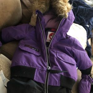 Purple and black Canadian goose